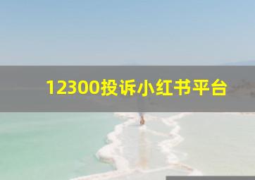 12300投诉小红书平台