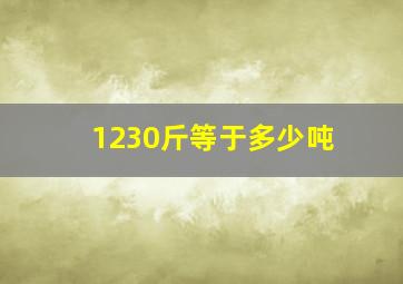 1230斤等于多少吨