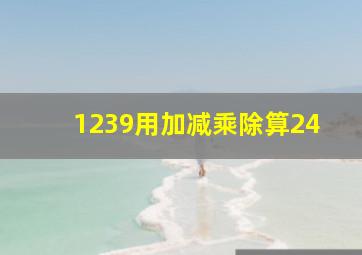 1239用加减乘除算24