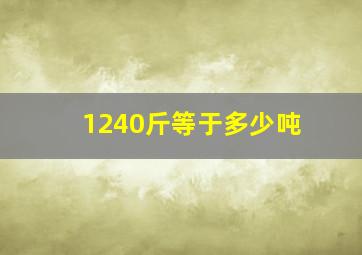 1240斤等于多少吨