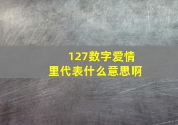 127数字爱情里代表什么意思啊