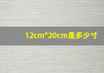 12cm*20cm是多少寸