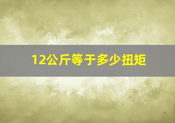 12公斤等于多少扭矩