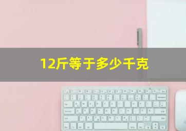 12斤等于多少千克