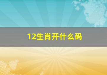 12生肖开什么码