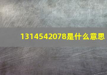 1314542078是什么意思