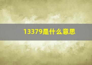 13379是什么意思