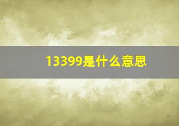 13399是什么意思