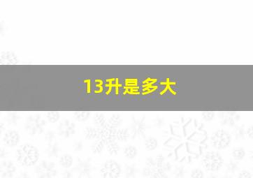 13升是多大