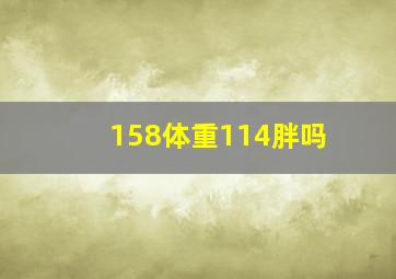 158体重114胖吗