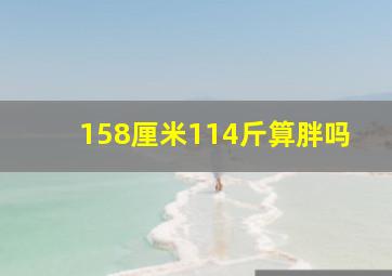 158厘米114斤算胖吗