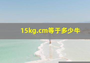 15kg.cm等于多少牛