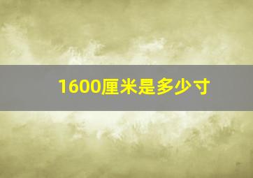 1600厘米是多少寸