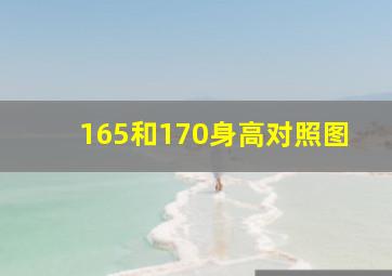 165和170身高对照图