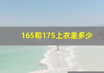 165和175上衣差多少