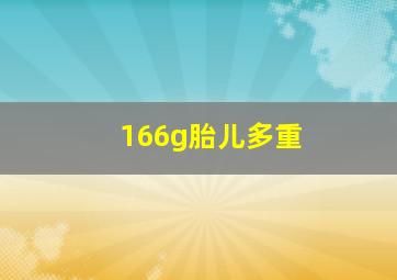 166g胎儿多重