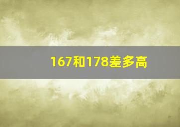 167和178差多高