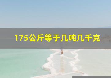 175公斤等于几吨几千克