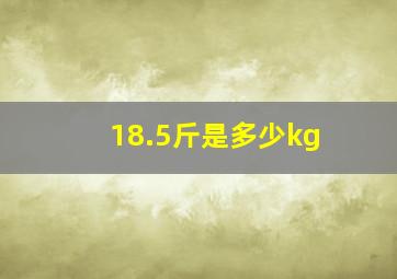 18.5斤是多少kg