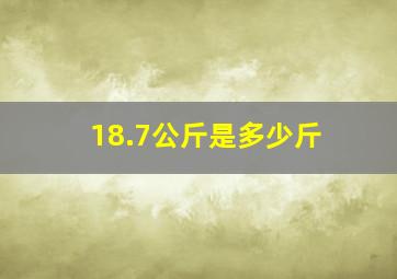 18.7公斤是多少斤