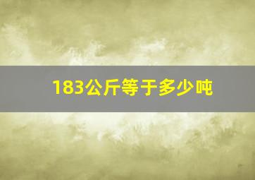 183公斤等于多少吨