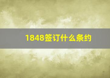 1848签订什么条约