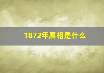 1872年属相是什么