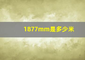 1877mm是多少米