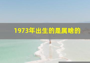 1973年出生的是属啥的