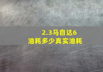 2.3马自达6油耗多少真实油耗