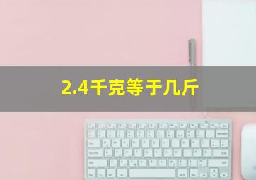 2.4千克等于几斤