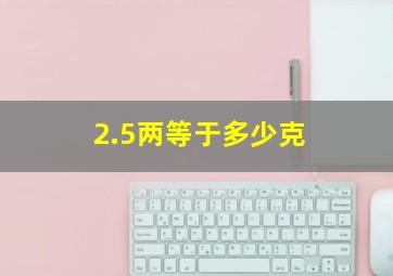 2.5两等于多少克