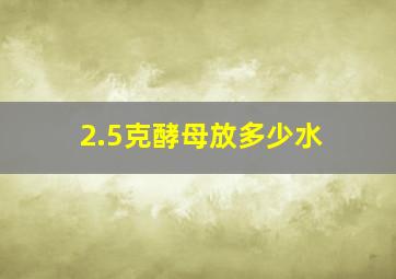 2.5克酵母放多少水