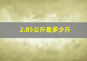 2.85公斤是多少斤