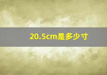 20.5cm是多少寸