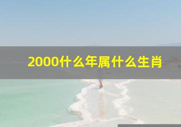 2000什么年属什么生肖