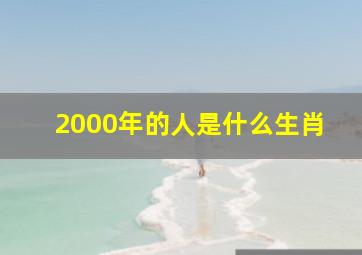 2000年的人是什么生肖