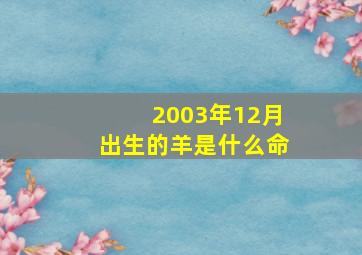 2003年12月出生的羊是什么命