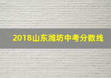 2018山东潍坊中考分数线