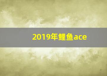 2019年鲤鱼ace