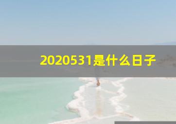 2020531是什么日子