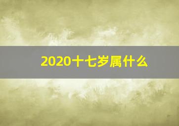 2020十七岁属什么