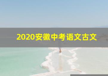 2020安徽中考语文古文