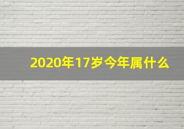 2020年17岁今年属什么