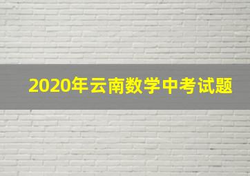 2020年云南数学中考试题