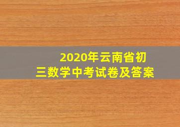 2020年云南省初三数学中考试卷及答案