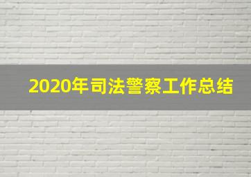 2020年司法警察工作总结