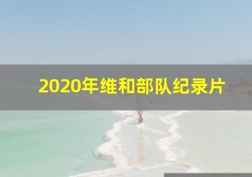 2020年维和部队纪录片