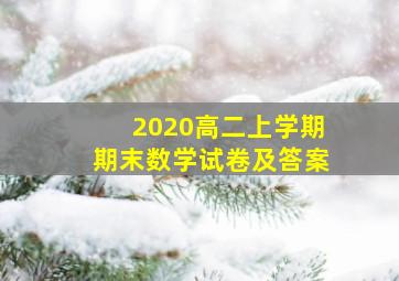 2020高二上学期期末数学试卷及答案