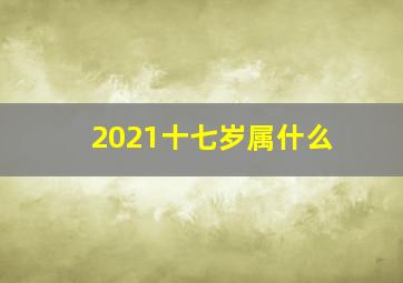 2021十七岁属什么